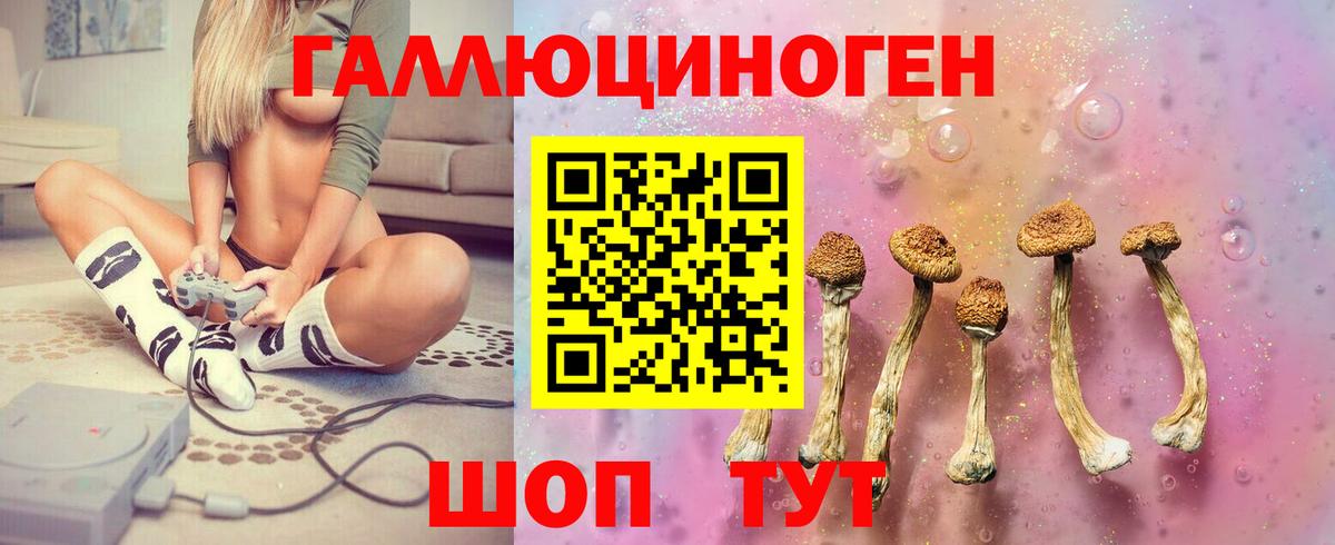 Галлюциногенные грибы мухоморы Железногорск